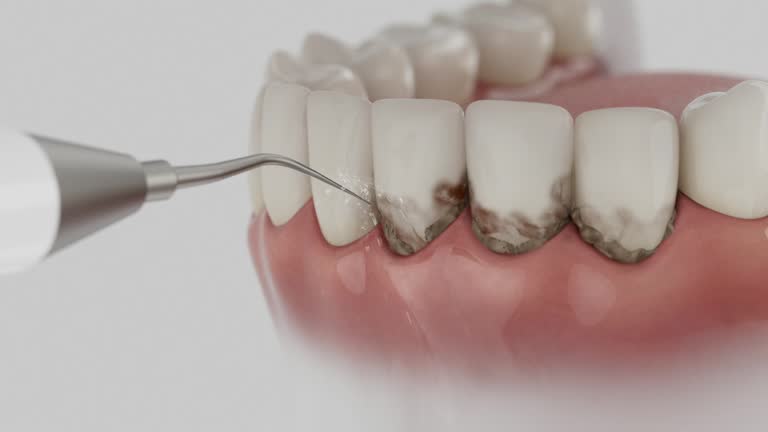 Reliable Dental contractor in Ranson, WV by Dentist Open Now